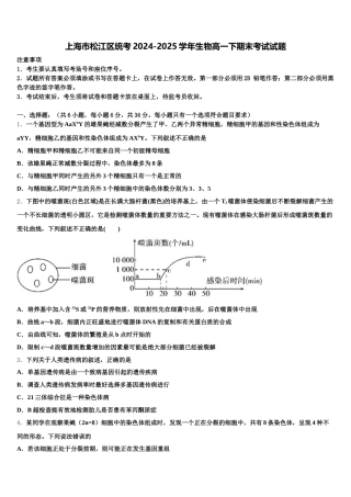 上海市松江区统考2024-2025学年生物高一下期末考试试题含解析