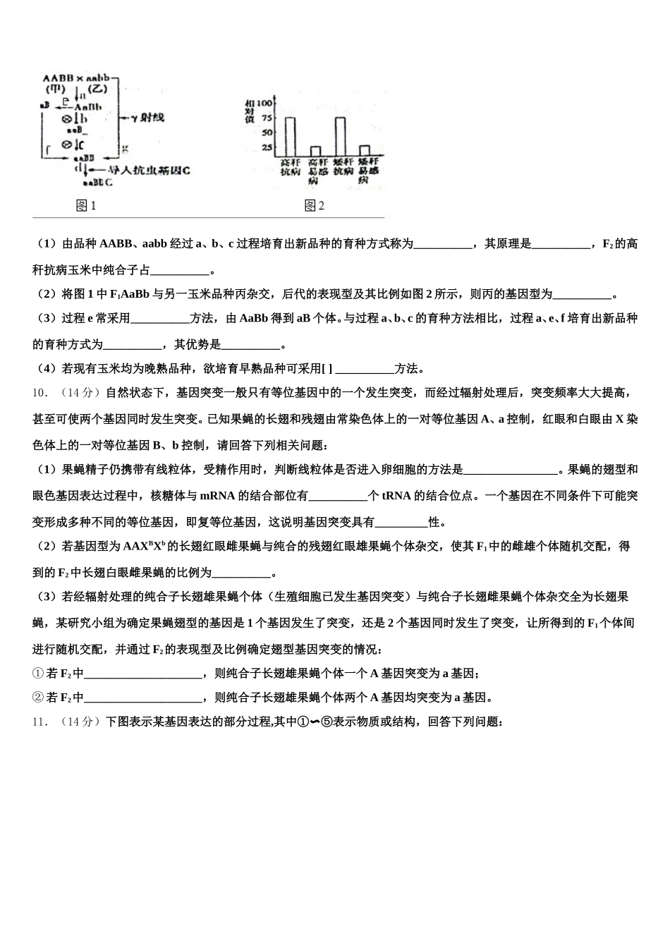 2025届上海市普陀区曹杨二中生物高一下期末质量检测模拟试题含解析_第3页