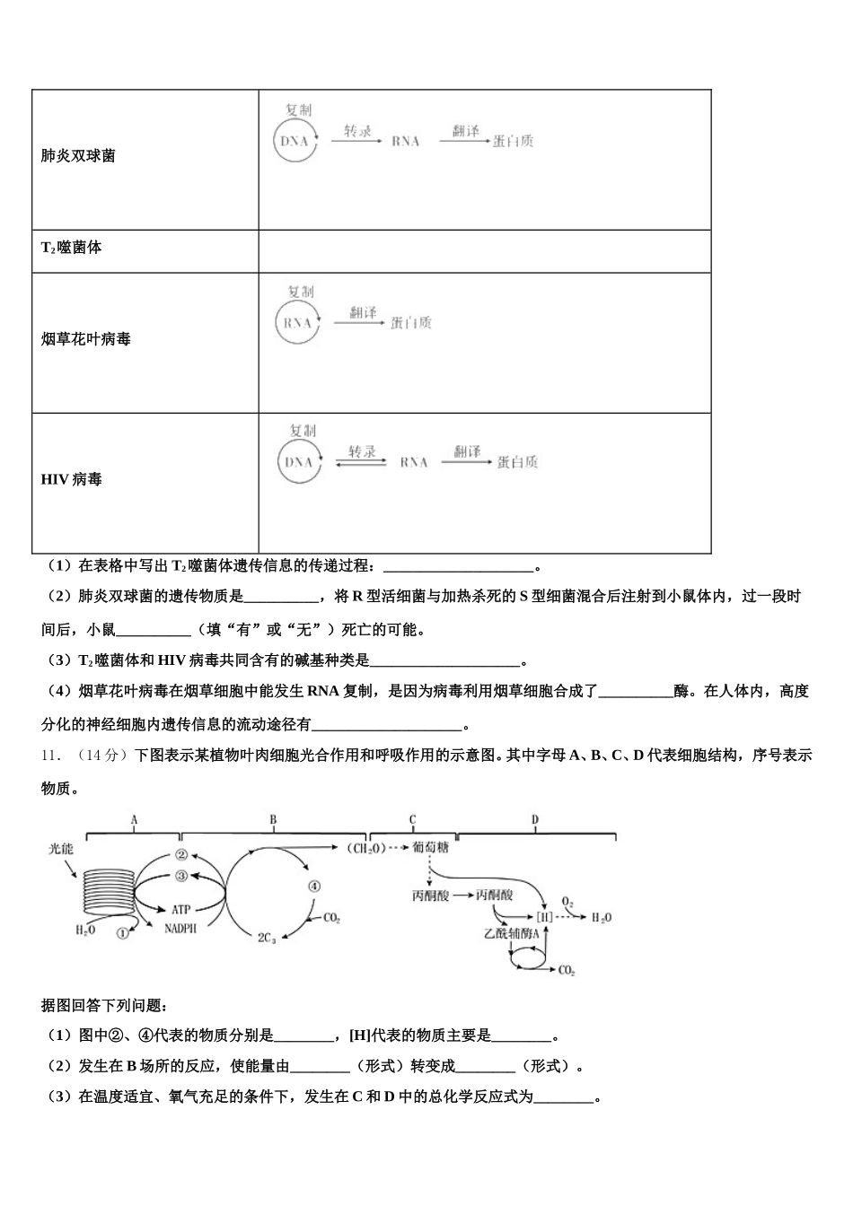 2025届上海市师大附中高一生物第二学期期末学业质量监测模拟试题含解析_第3页