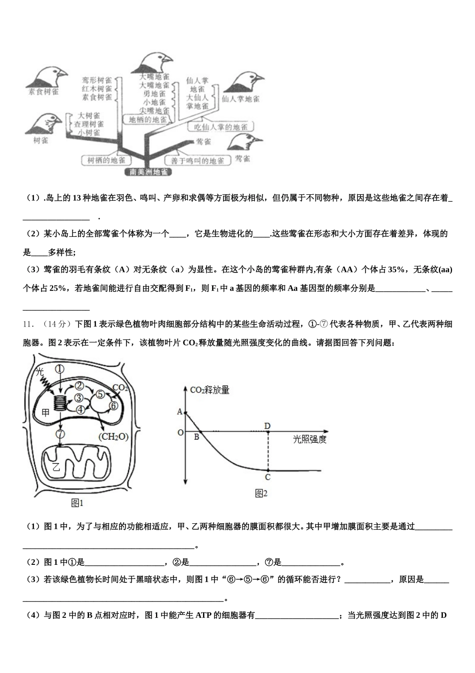 上海市四中2025年生物高一第二学期期末学业水平测试模拟试题含解析_第3页