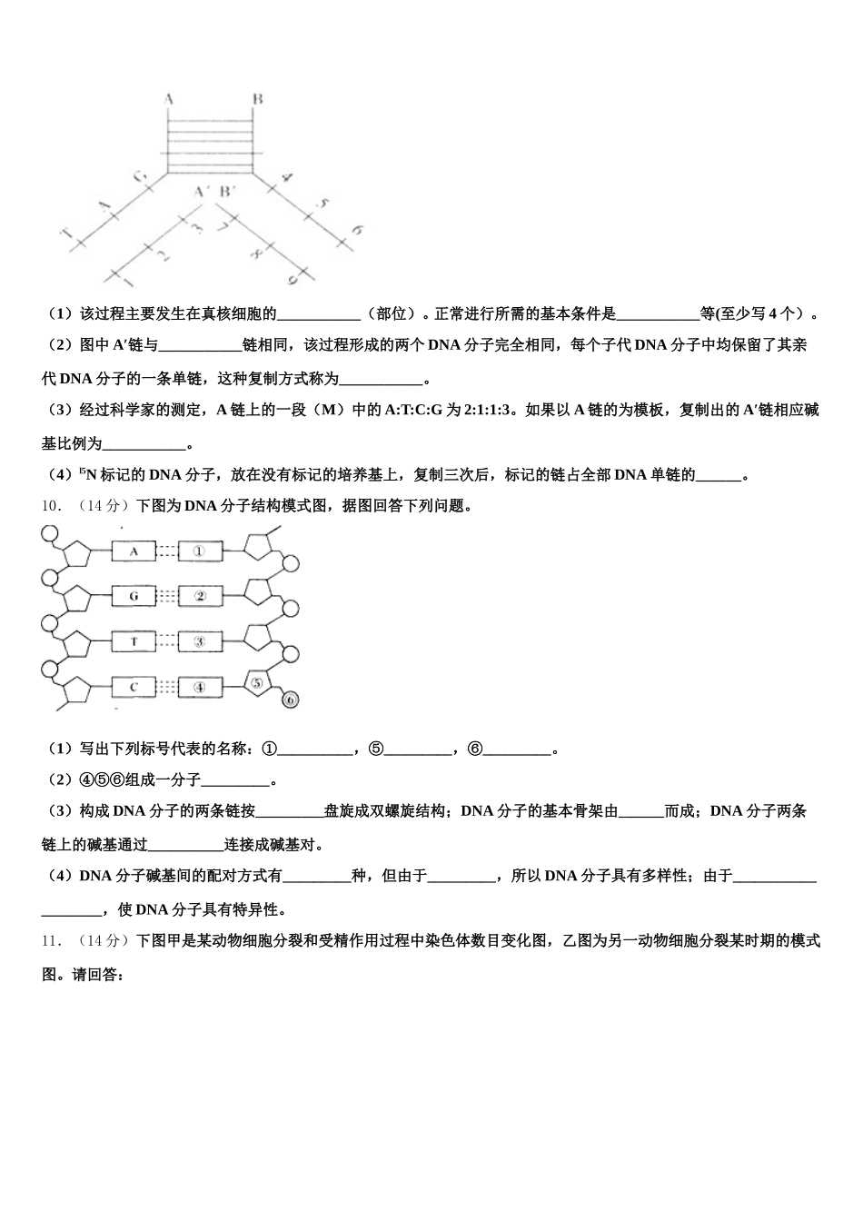 2025届上海市闵行中学高一生物第二学期期末学业质量监测试题含解析_第3页