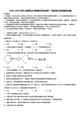 2024-2025学年上海师范大学附属中学生物高一下期末复习检测模拟试题含解析