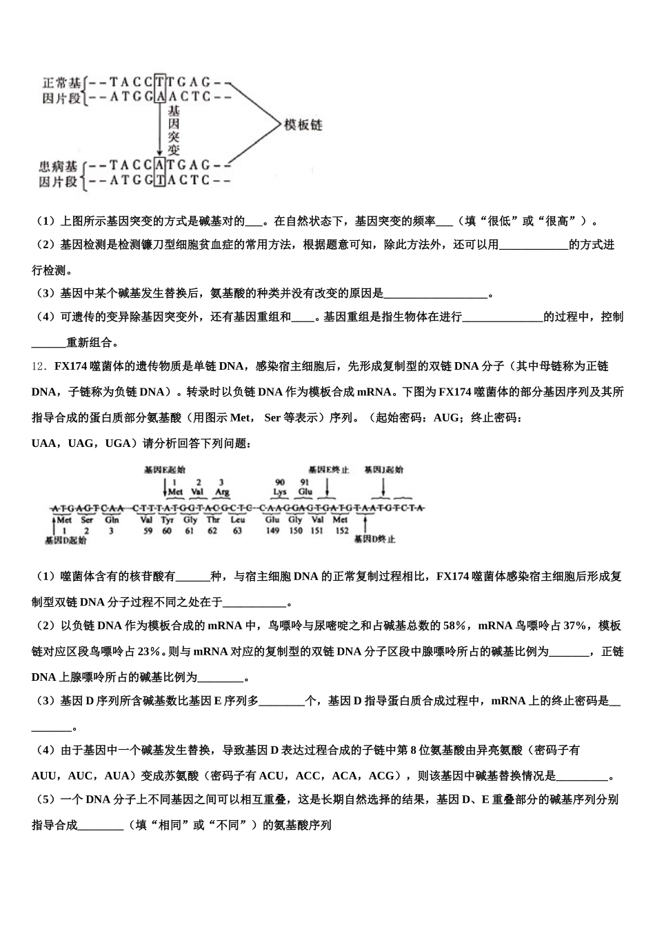 上海市川沙中学2025年生物高一第二学期期末质量检测试题含解析_第3页