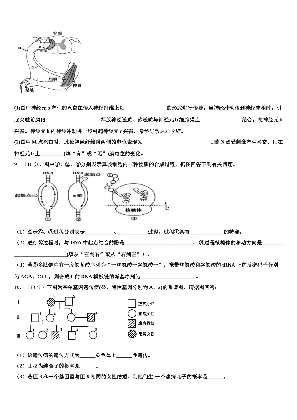 上海市新中高级中学2024-2025学年高一生物第二学期期末达标检测试题含解析_第3页