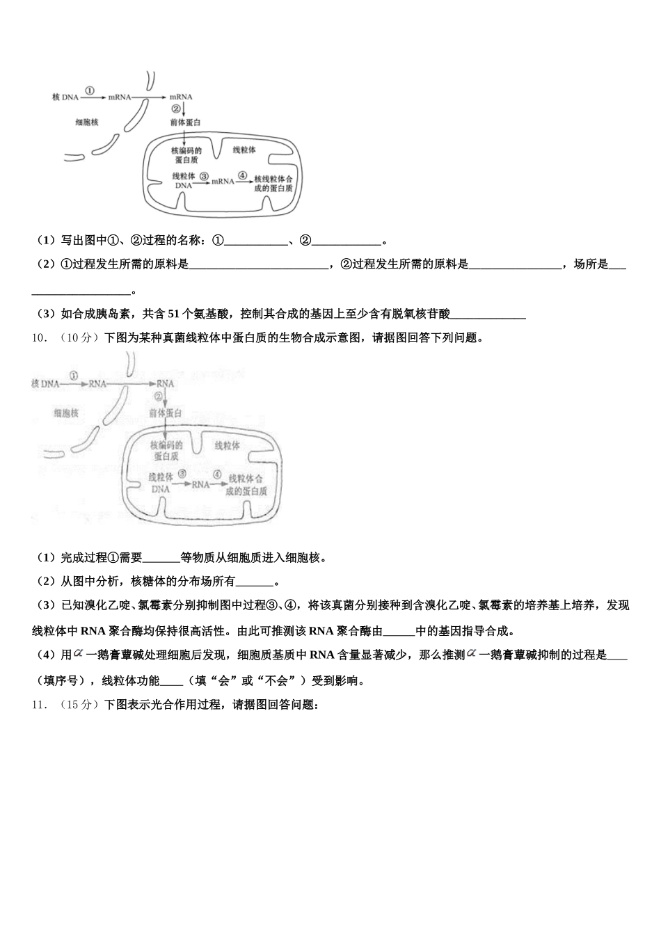 上海市控江中学2025年生物高一第二学期期末学业水平测试试题含解析_第3页