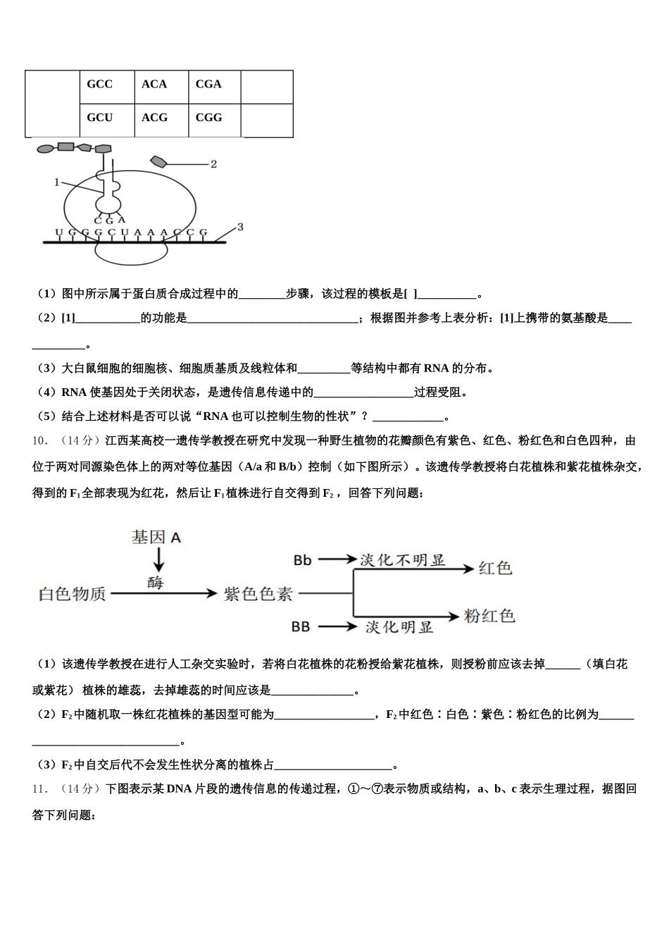 2024-2025学年上海市嘉定二中高一下生物期末经典模拟试题含解析_第3页