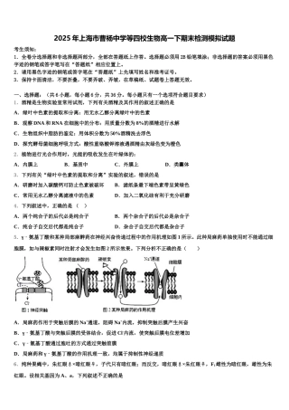 2025年上海市曹杨中学等四校生物高一下期末检测模拟试题含解析