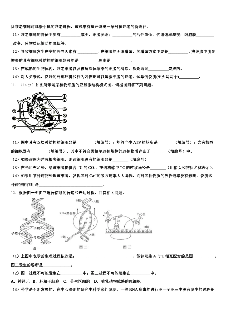 上海市建平实验中学2025年高一下生物期末达标测试试题含解析_第3页