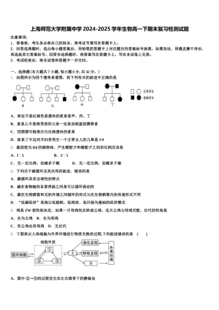 上海师范大学附属中学2024-2025学年生物高一下期末复习检测试题含解析