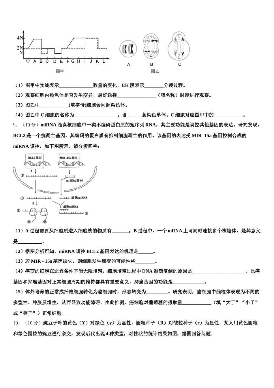 2024-2025学年上海市静安区新中高级中学高一下生物期末复习检测模拟试题含解析_第3页