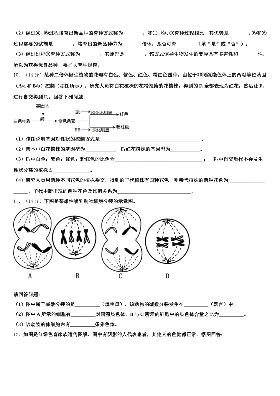 上海市卢湾高级中学2025届生物高一下期末经典试题含解析_第3页