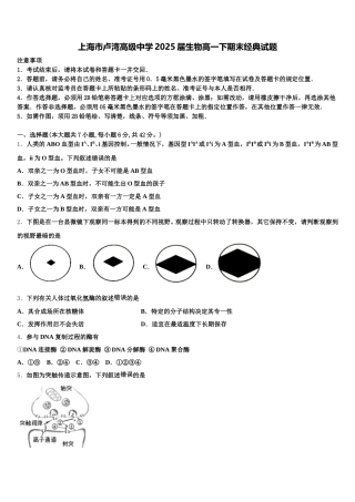 上海市卢湾高级中学2025届生物高一下期末经典试题含解析