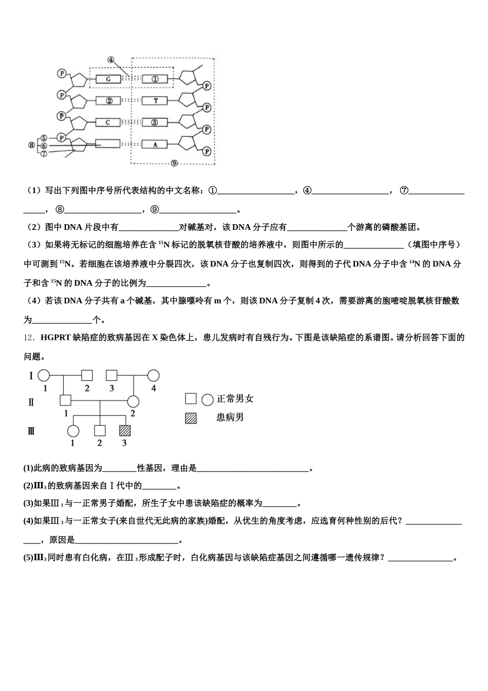 上海市宝山区扬波中学2025届高一下生物期末质量检测模拟试题含解析_第3页