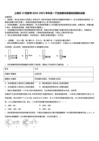 上海市12校联考2024-2025学年高一下生物期末质量检测模拟试题含解析