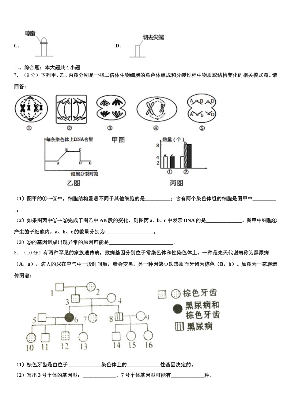 2024-2025学年上海复旦附中高一下生物期末调研试题含解析_第2页