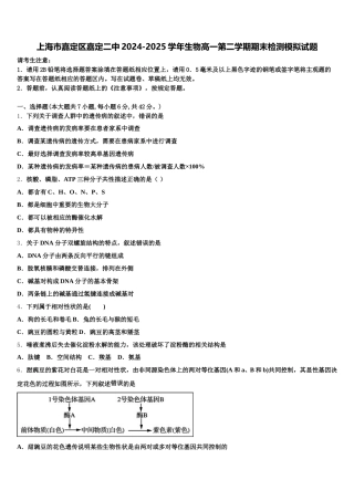 上海市嘉定区嘉定二中2024-2025学年生物高一第二学期期末检测模拟试题含解析