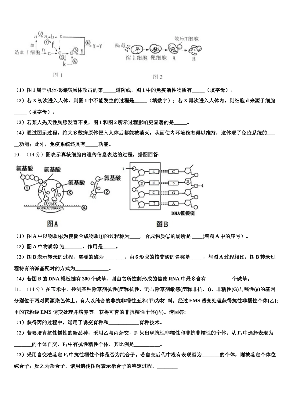 上海市风华中学2025届高一生物第二学期期末教学质量检测模拟试题含解析_第3页