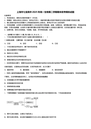 上海市七宝高中2025年高一生物第二学期期末统考模拟试题含解析