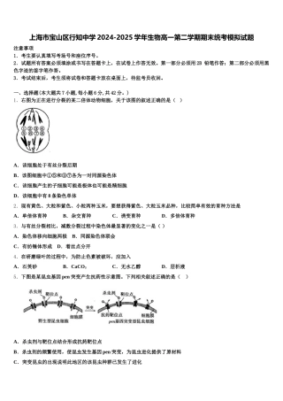 上海市宝山区行知中学2024-2025学年生物高一第二学期期末统考模拟试题含解析
