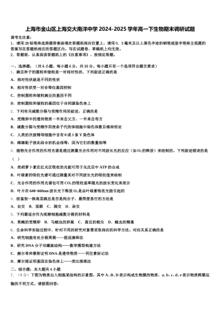 上海市金山区上海交大南洋中学2024-2025学年高一下生物期末调研试题含解析