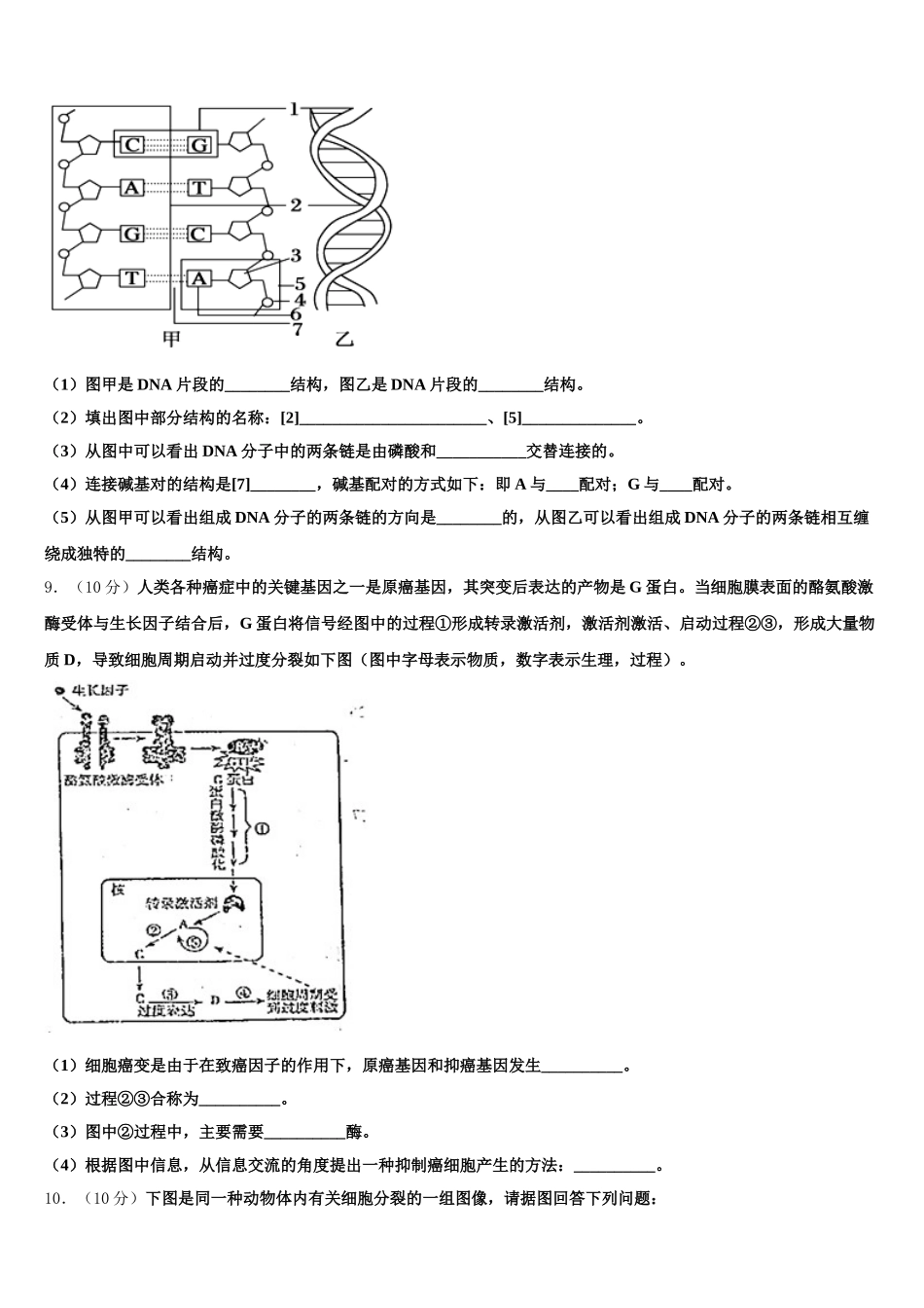 上海市闵行区闵行中学2025年生物高一下期末预测试题含解析_第3页
