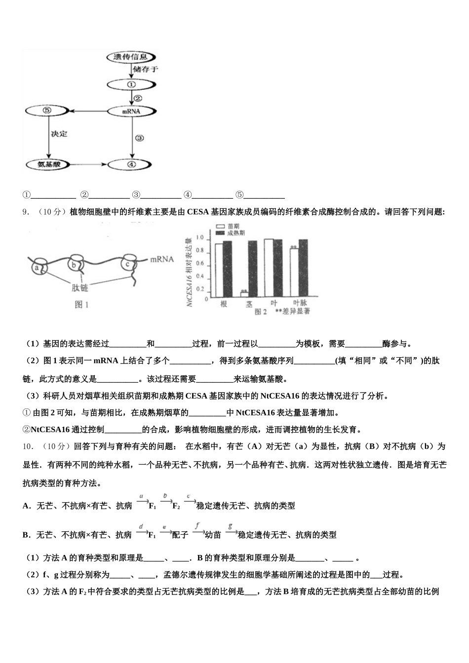 上海市交通大学附属中学嘉定分校2025年生物高一第二学期期末监测模拟试题含解析_第3页