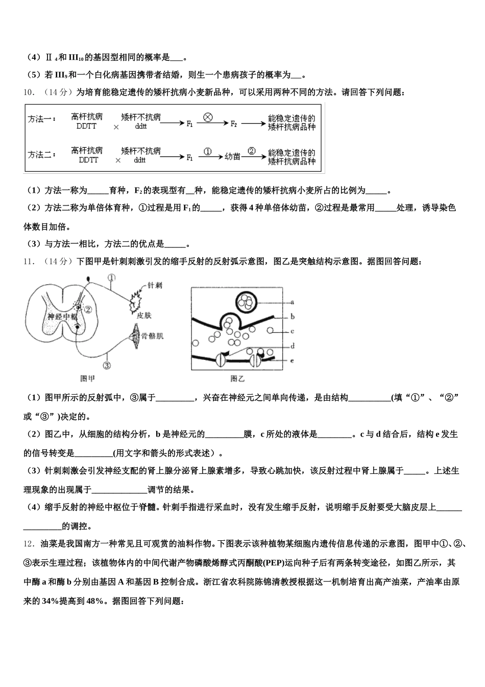 2025年上海师大附中高一生物第二学期期末联考模拟试题含解析_第3页