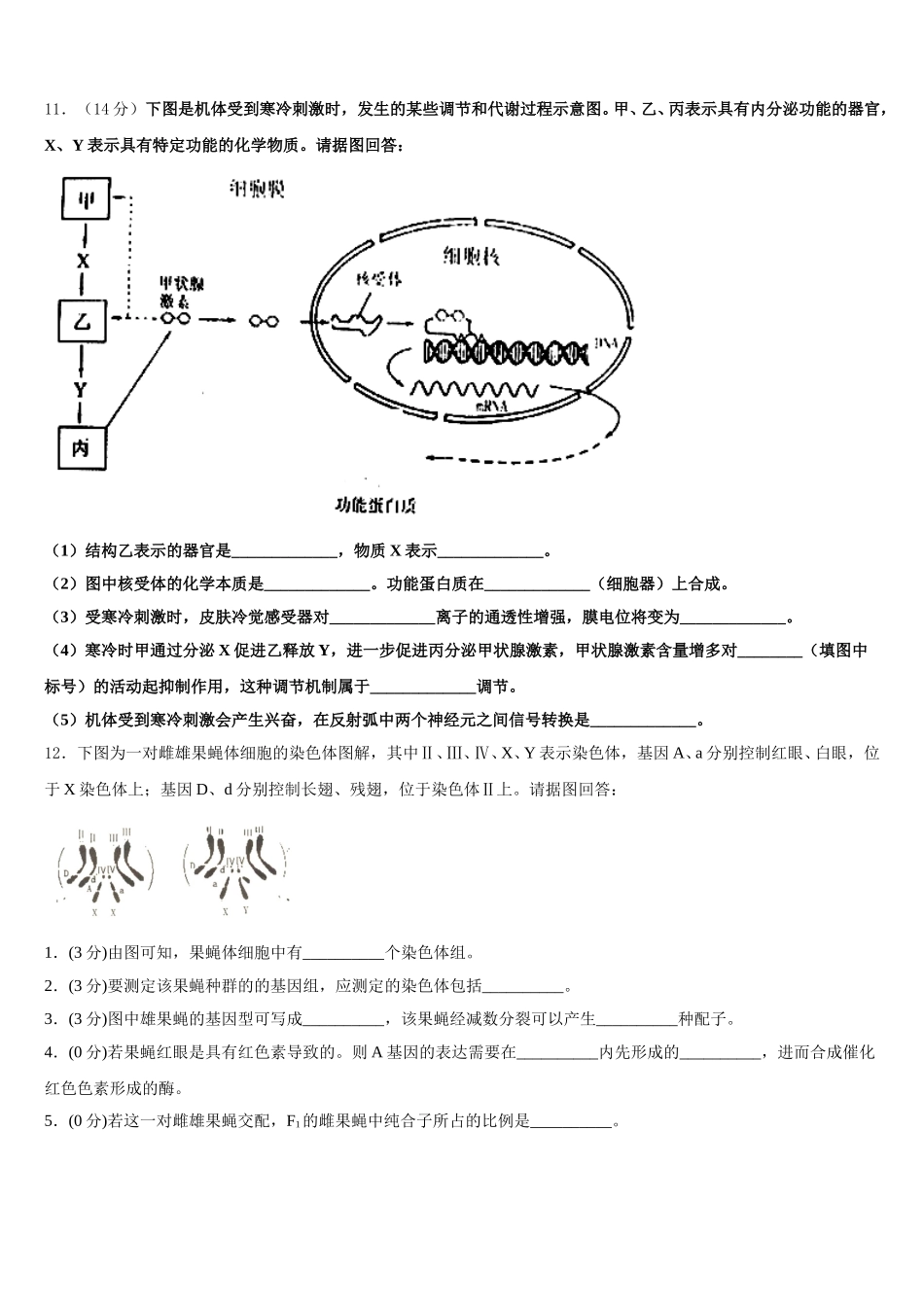 上海市东实验学校2025届高一下生物期末经典试题含解析_第3页
