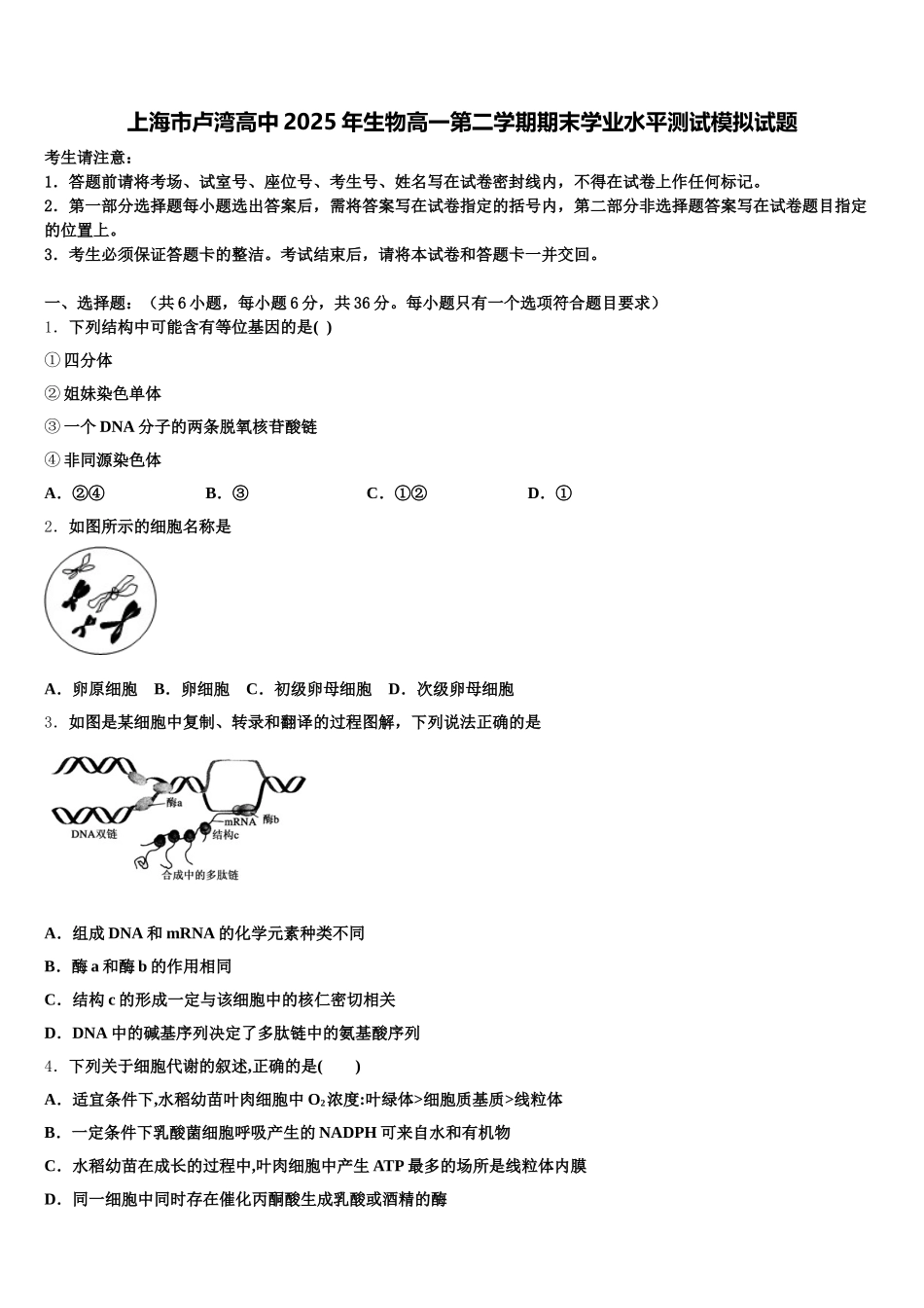 上海市卢湾高中2025年生物高一第二学期期末学业水平测试模拟试题含解析_第1页