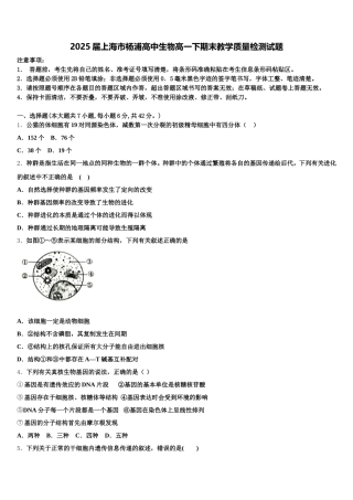 2025届上海市杨浦高中生物高一下期末教学质量检测试题含解析