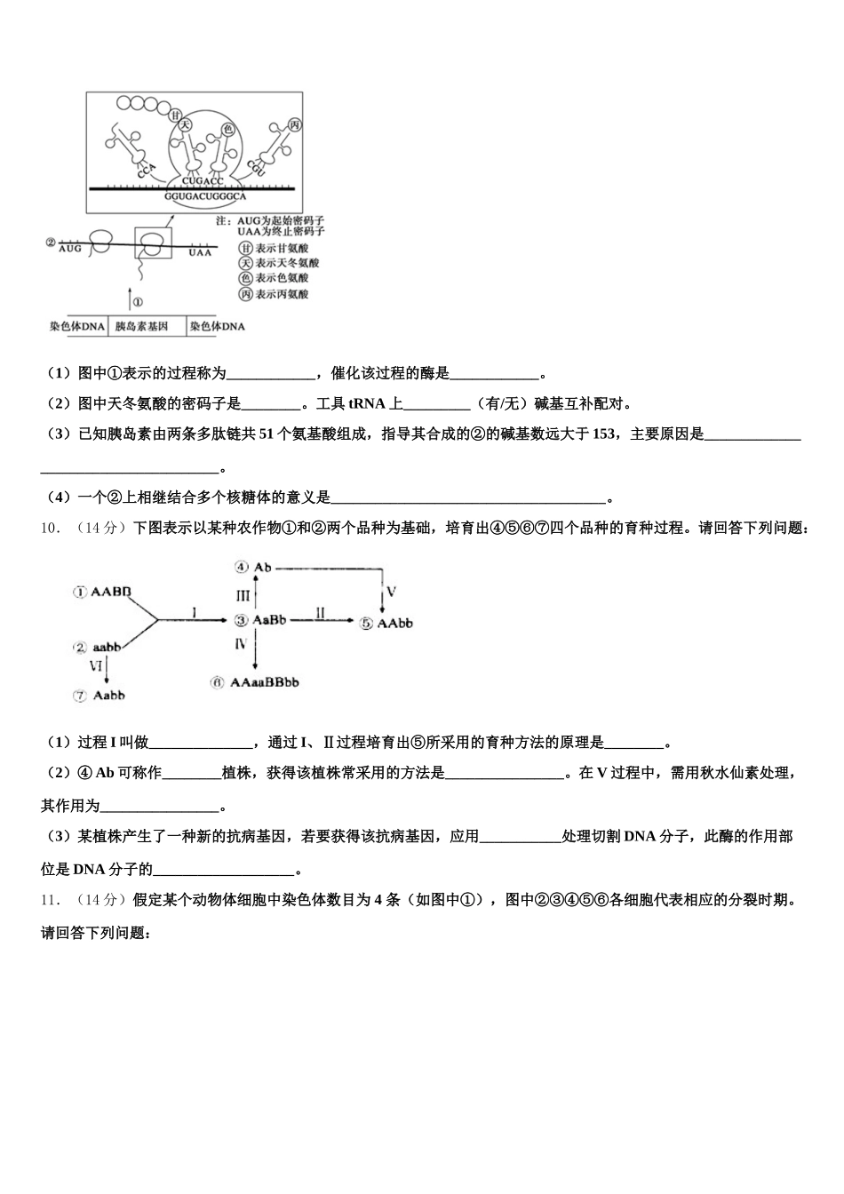 上海市嘉定区第二中学2025年生物高一第二学期期末综合测试试题含解析_第3页