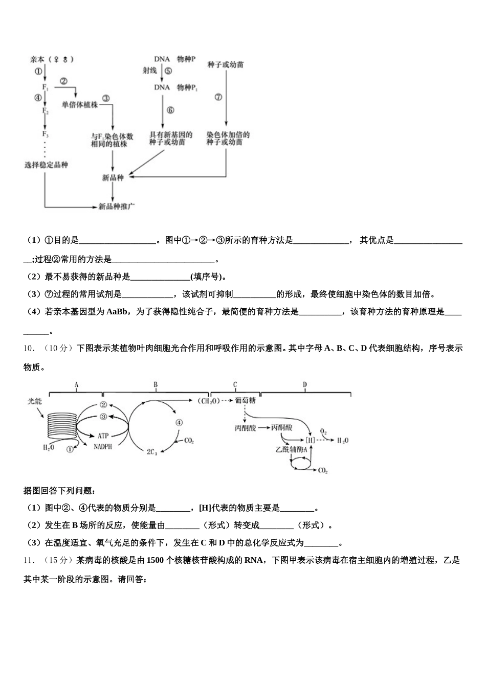 2025年上海市市西初级中学高一下生物期末复习检测模拟试题含解析_第3页