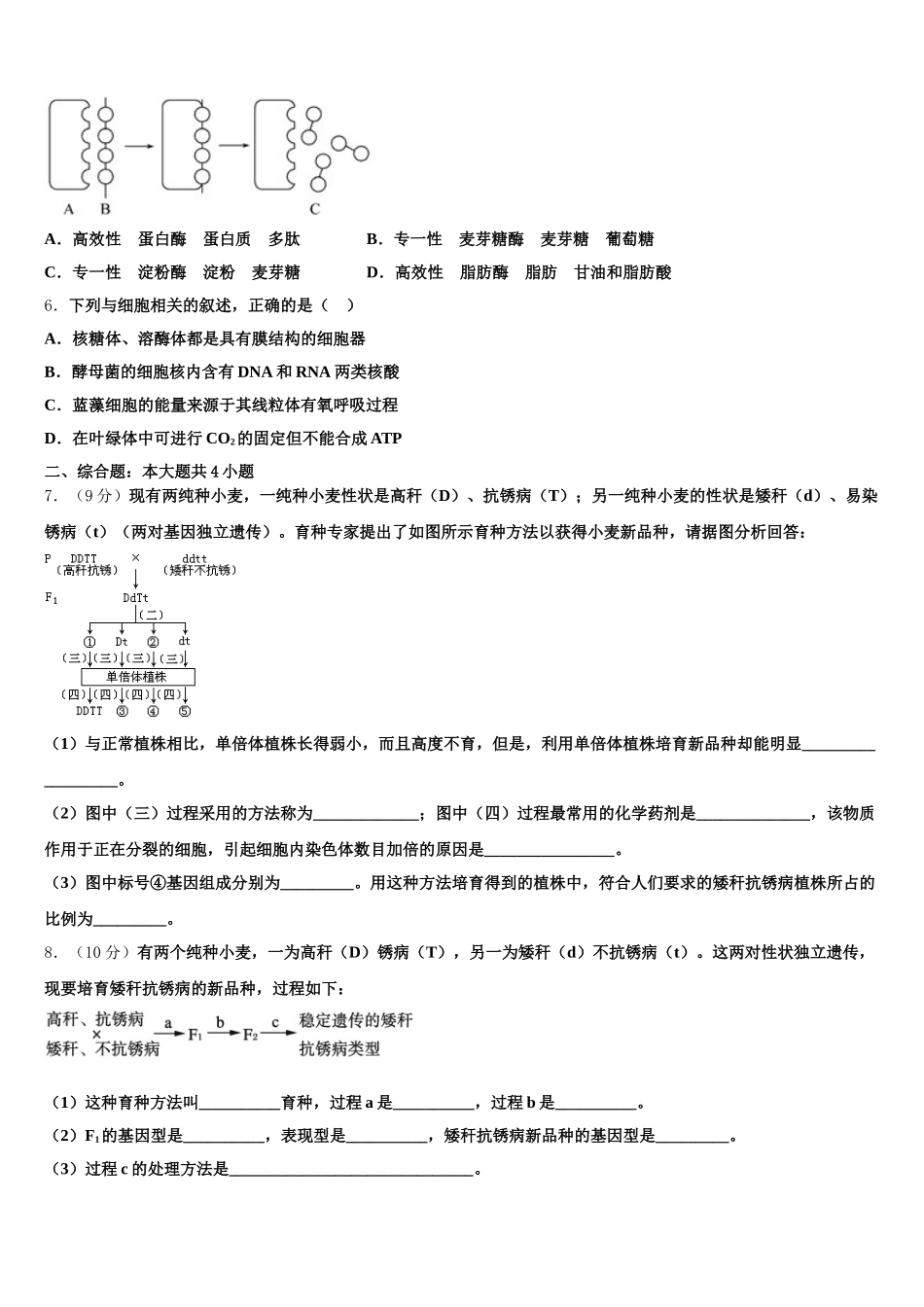 2024-2025学年上海市浦东区洋泾中学高一生物第二学期期末复习检测模拟试题含解析_第2页