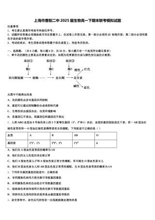 上海市曹阳二中2025届生物高一下期末联考模拟试题含解析