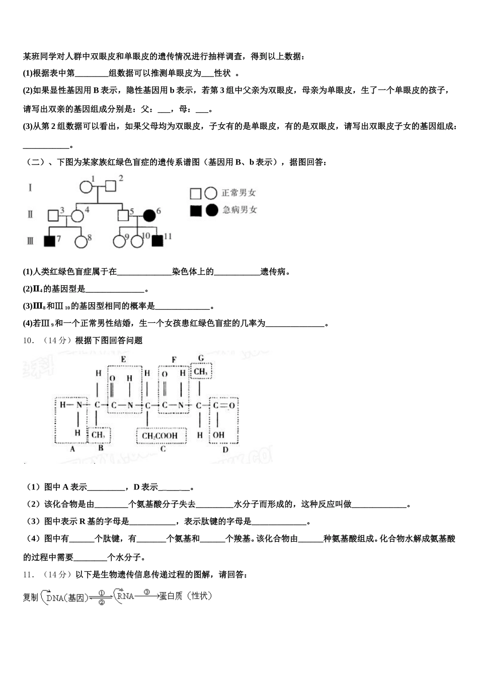 2025届上海市黄浦区大同中学生物高一下期末达标检测模拟试题含解析_第3页