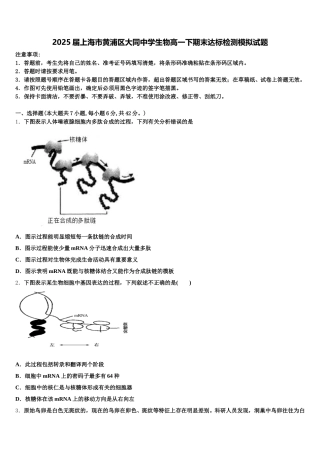 2025届上海市黄浦区大同中学生物高一下期末达标检测模拟试题含解析