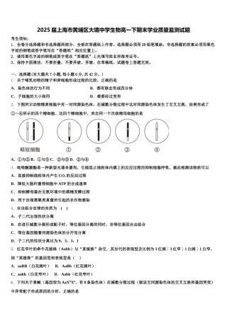 2025届上海市黄埔区大境中学生物高一下期末学业质量监测试题含解析