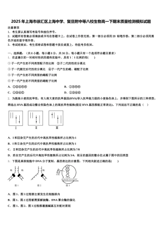 2025年上海市徐汇区上海中学、复旦附中等八校生物高一下期末质量检测模拟试题含解析