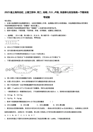 2025届上海市北虹、上理工附中、同二、光明、六十、卢高、东昌等七校生物高一下期末统考试题含解析