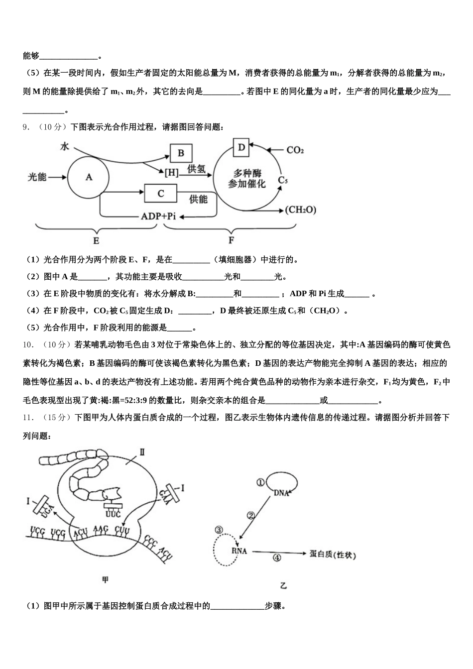 2025年上海市宝山区高境一中高一生物第二学期期末复习检测试题含解析_第3页