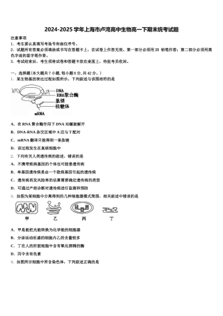 2024-2025学年上海市卢湾高中生物高一下期末统考试题含解析
