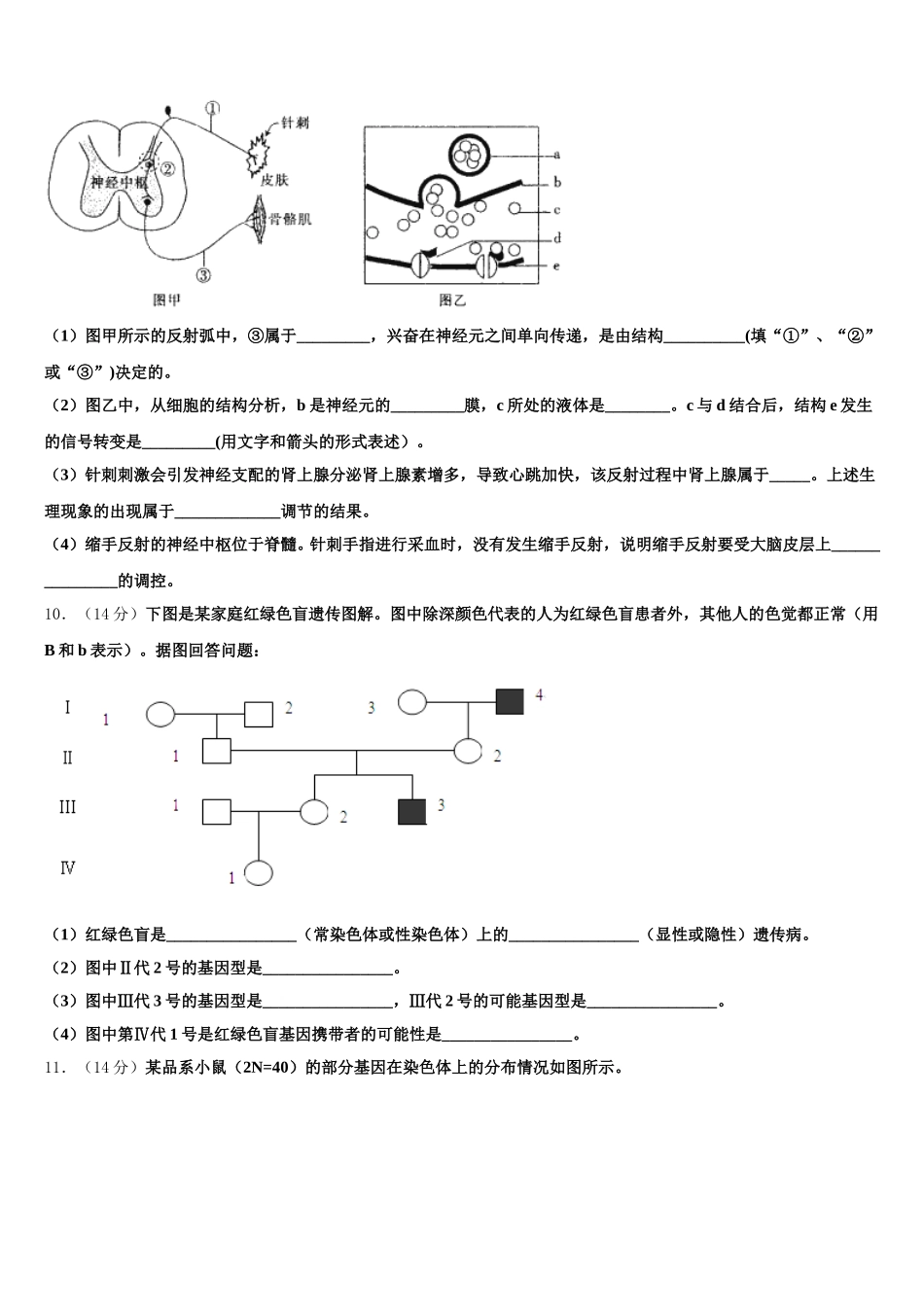 2025年上海外国语大学附属中学高一生物第二学期期末经典模拟试题含解析_第3页