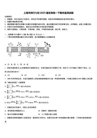 上海市闵行七校2025届生物高一下期末监测试题含解析