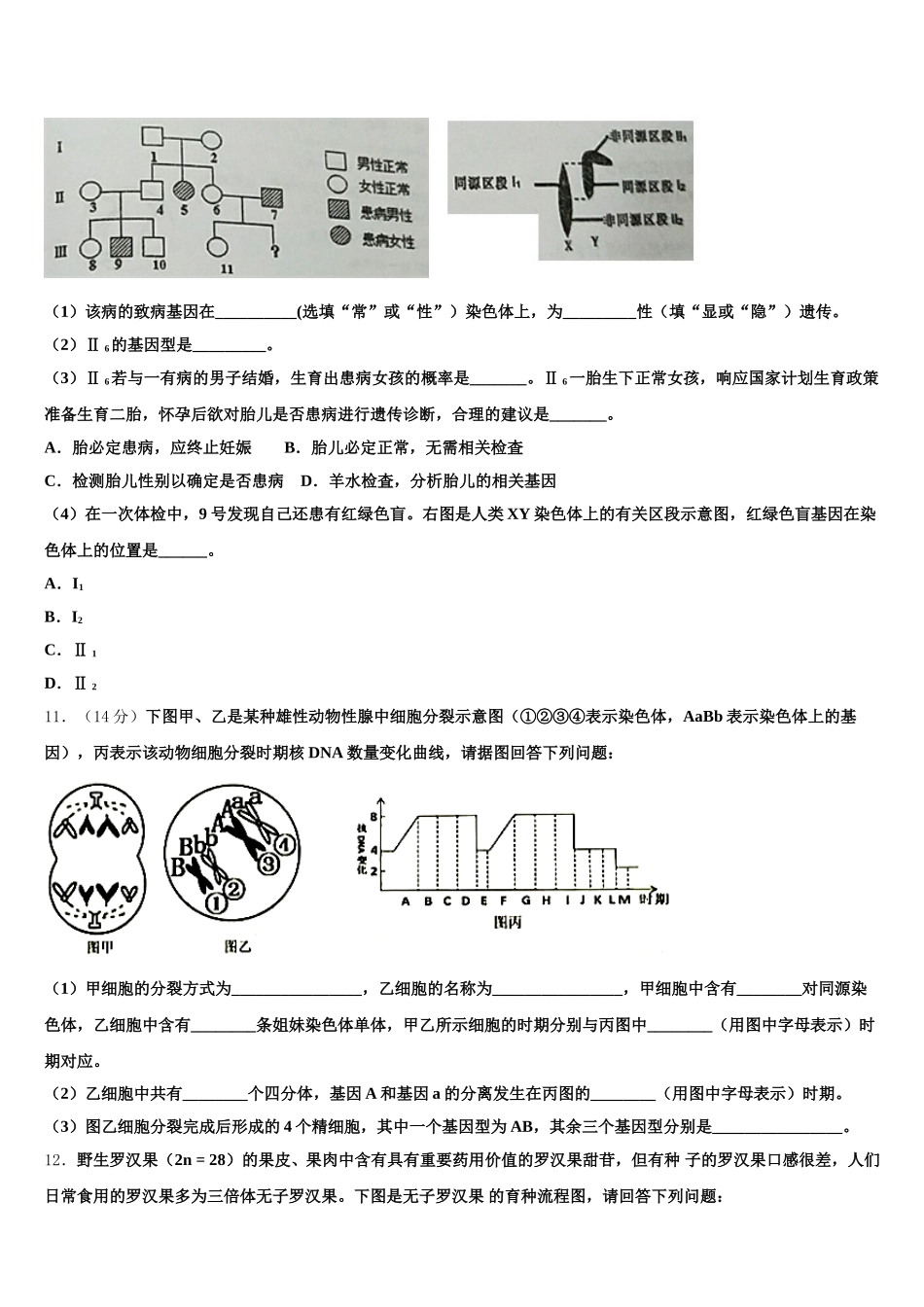 上海市八中2024-2025学年生物高一第二学期期末学业水平测试模拟试题含解析_第3页