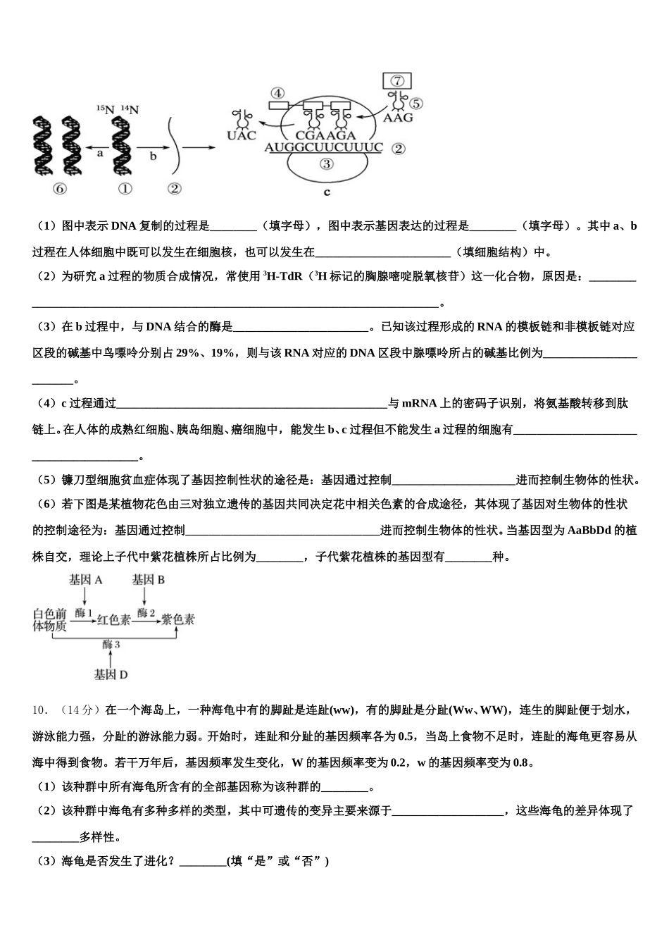上海市浦东新区华东师范大学第二附属中学2024-2025学年生物高一下期末调研模拟试题含解析_第3页
