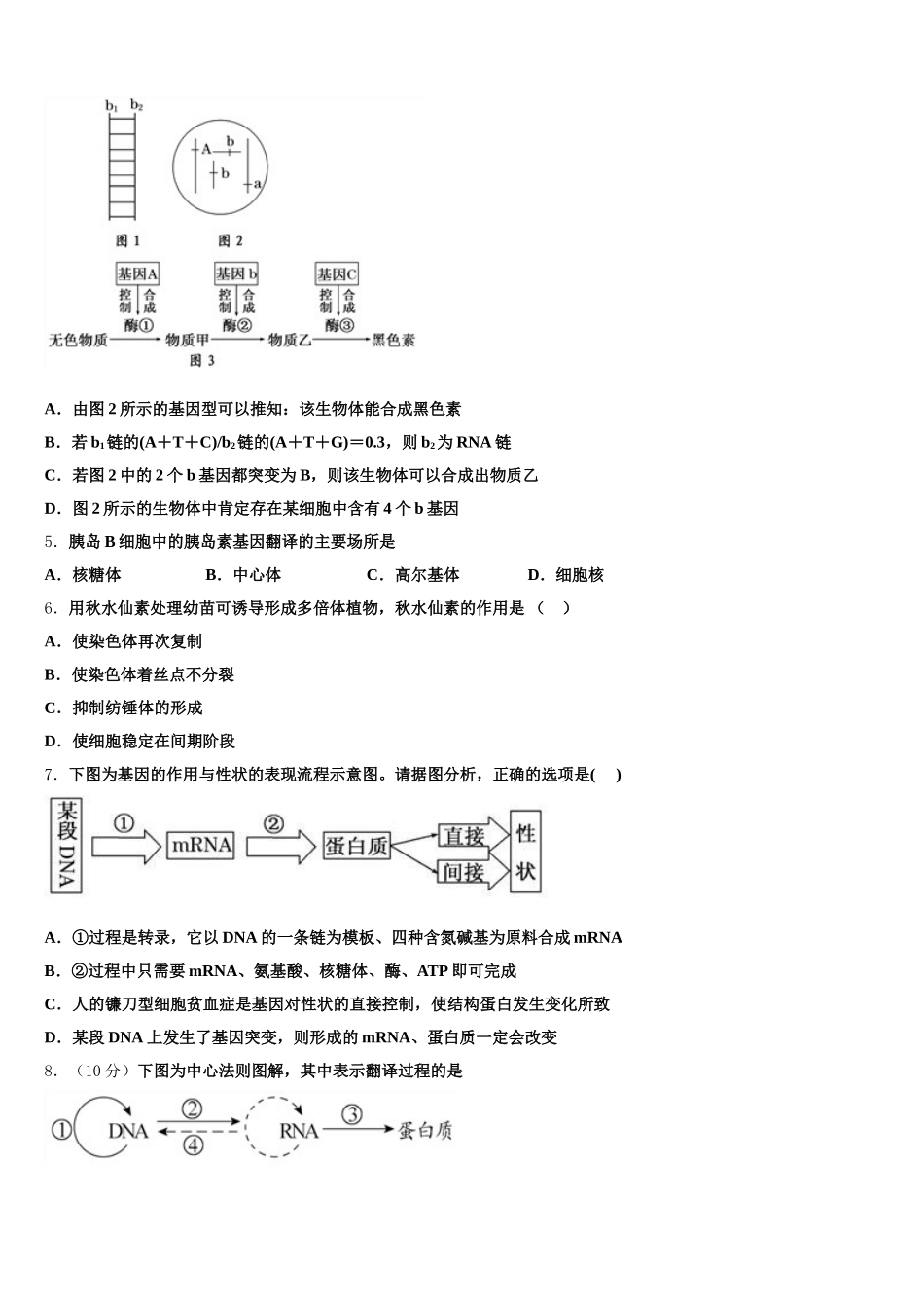 上海市静安区新中高级中学2024-2025学年高一生物第二学期期末学业质量监测试题含解析_第2页