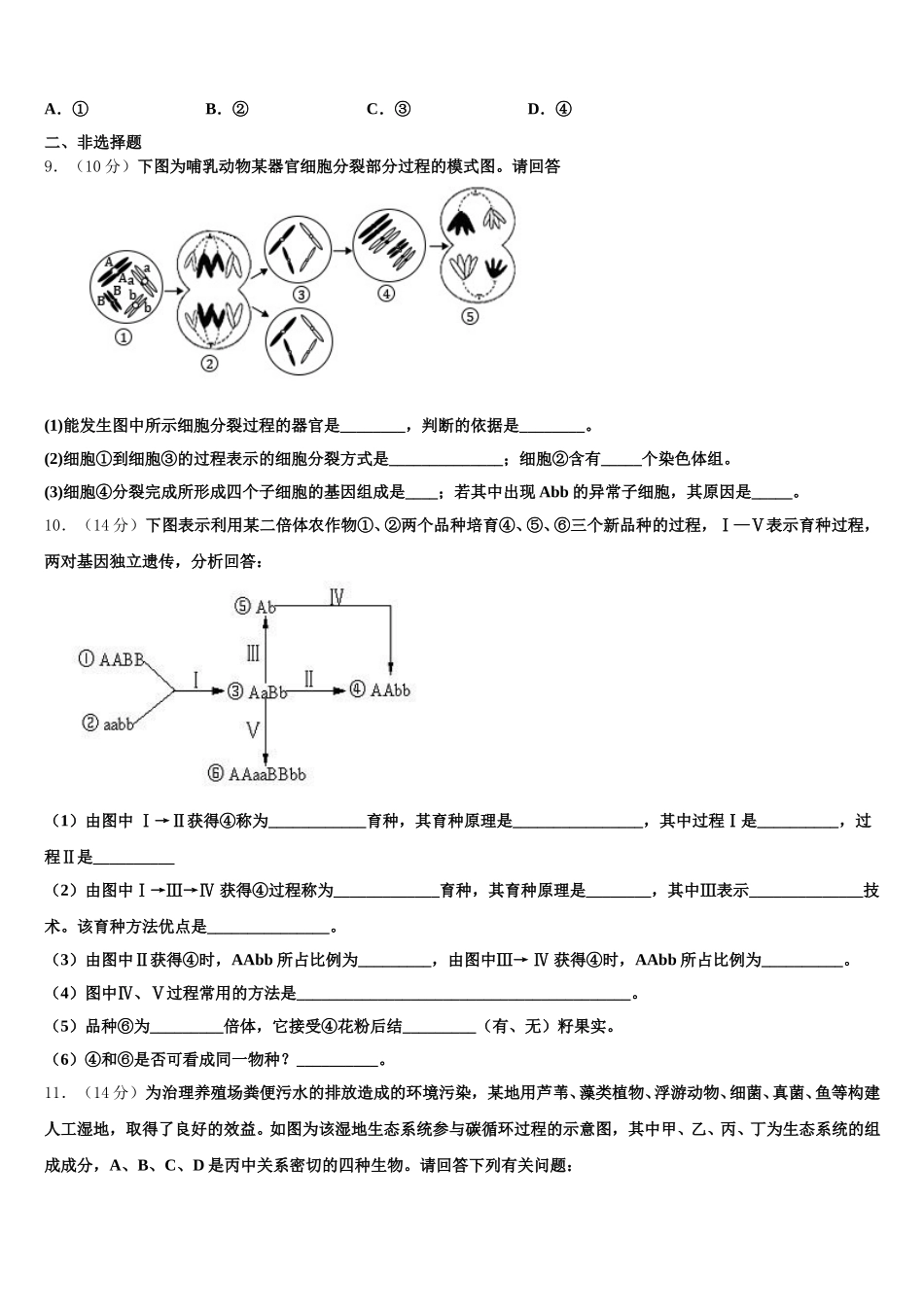上海市静安区新中高级中学2024-2025学年高一生物第二学期期末学业质量监测试题含解析_第3页