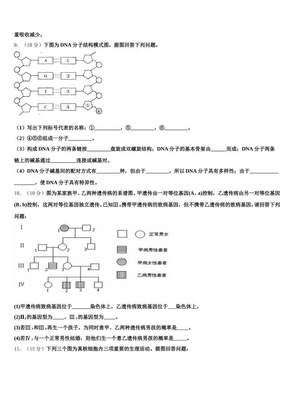 2025届上海延安中学高一下生物期末综合测试模拟试题含解析_第3页