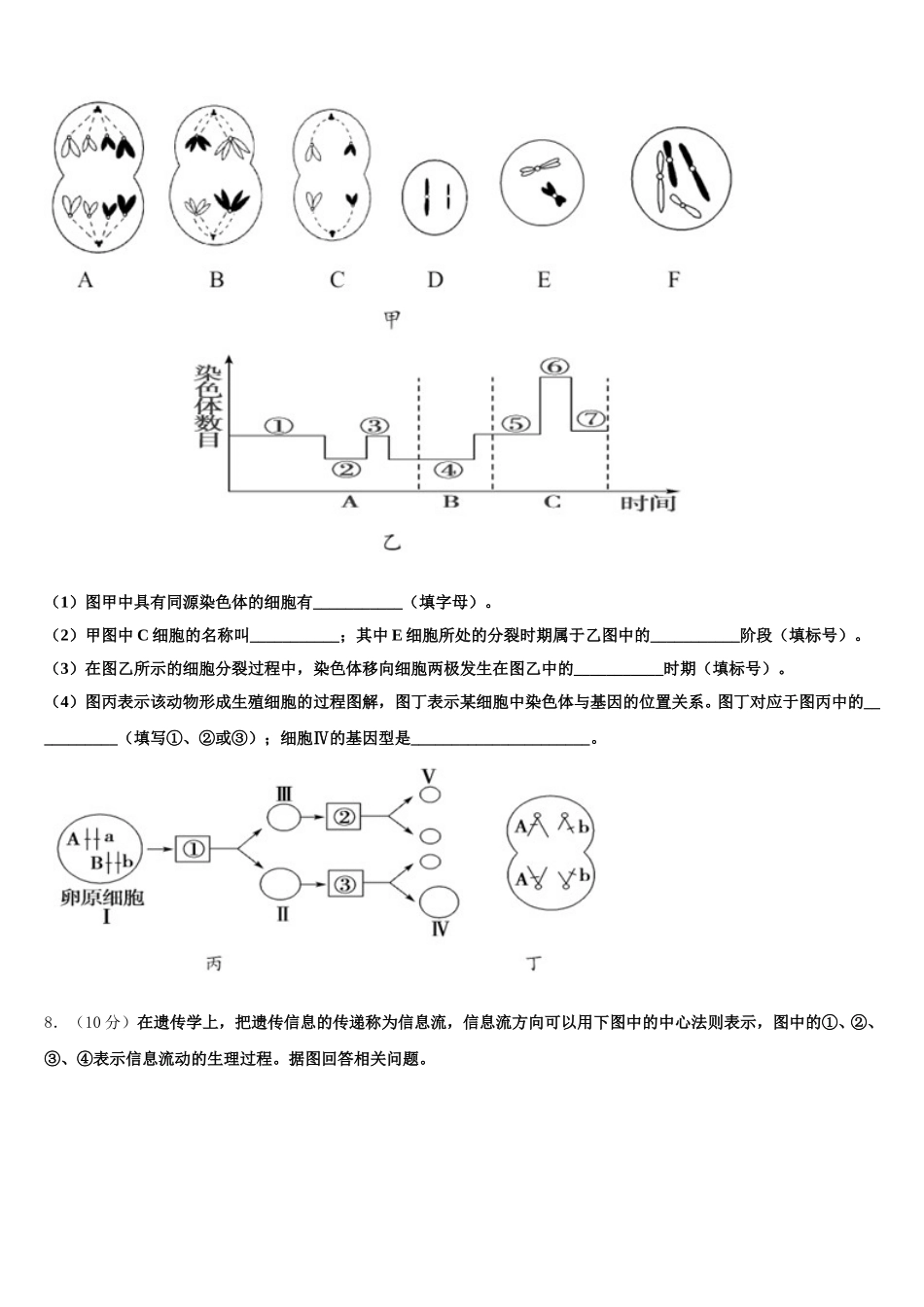 上海市华东师大三附中2025年高一下生物期末达标检测模拟试题含解析_第3页