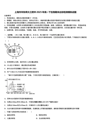 上海市华东师大三附中2025年高一下生物期末达标检测模拟试题含解析